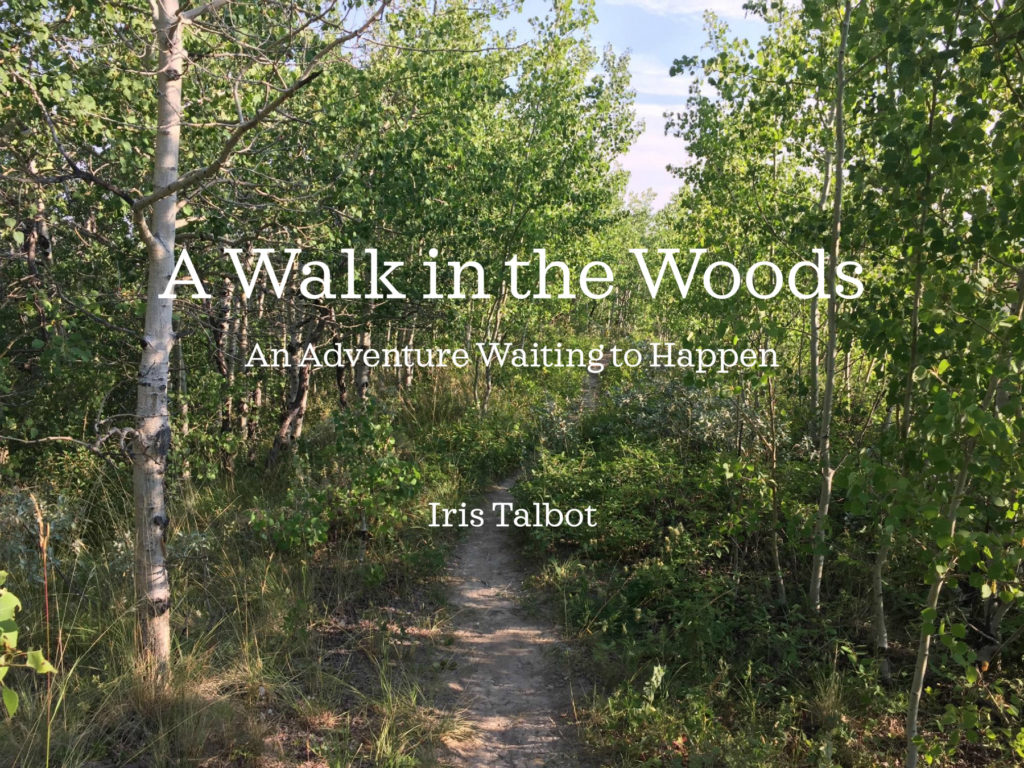 A Walk in the Woods Cover
